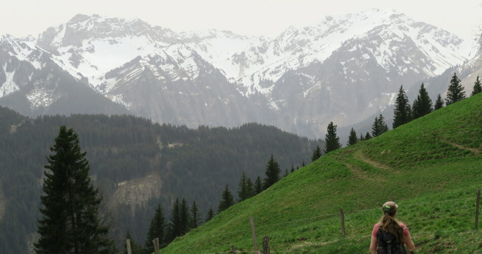 Montagnes Vallée d'Abondance