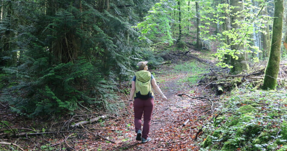 Randonnée forêt savoie