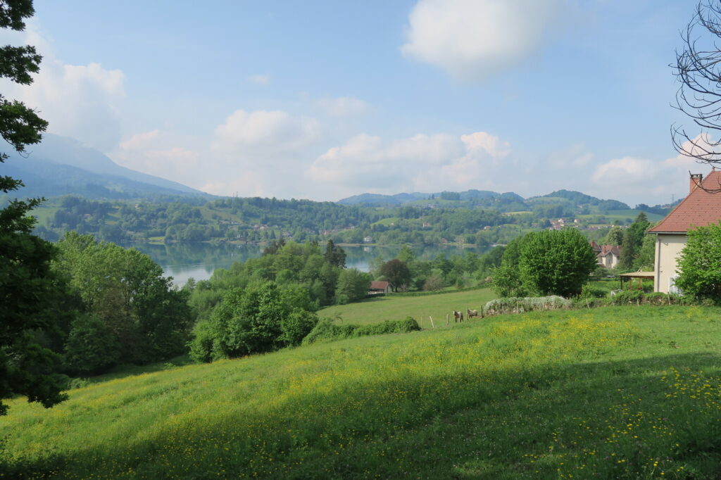 lac d'aiguebelette paysage