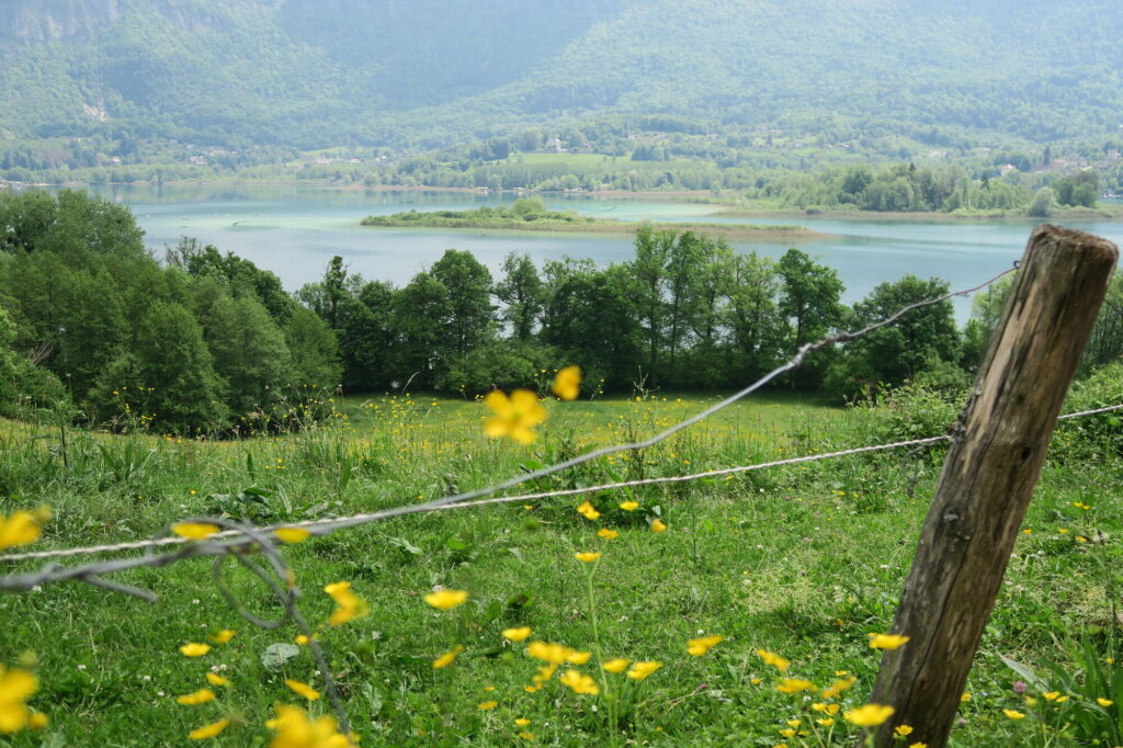 lac d'aiguebelette savoie