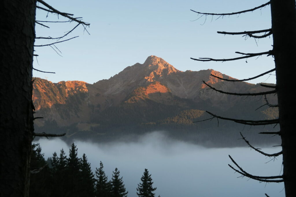 Mont de Grange Vallée d'Abondance Haute-Savoie