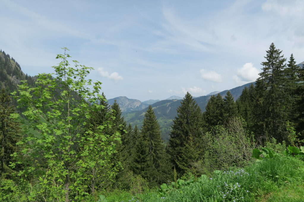 Montagnes - vue depuis refuge Tinderets Abondance