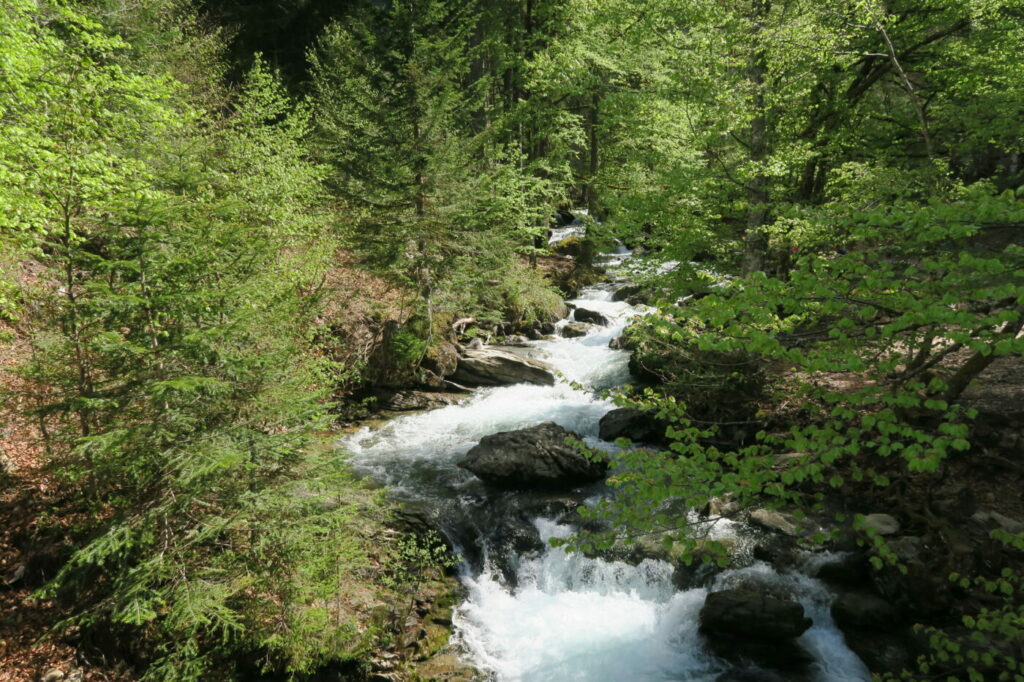 Rivière Haute-Savoie