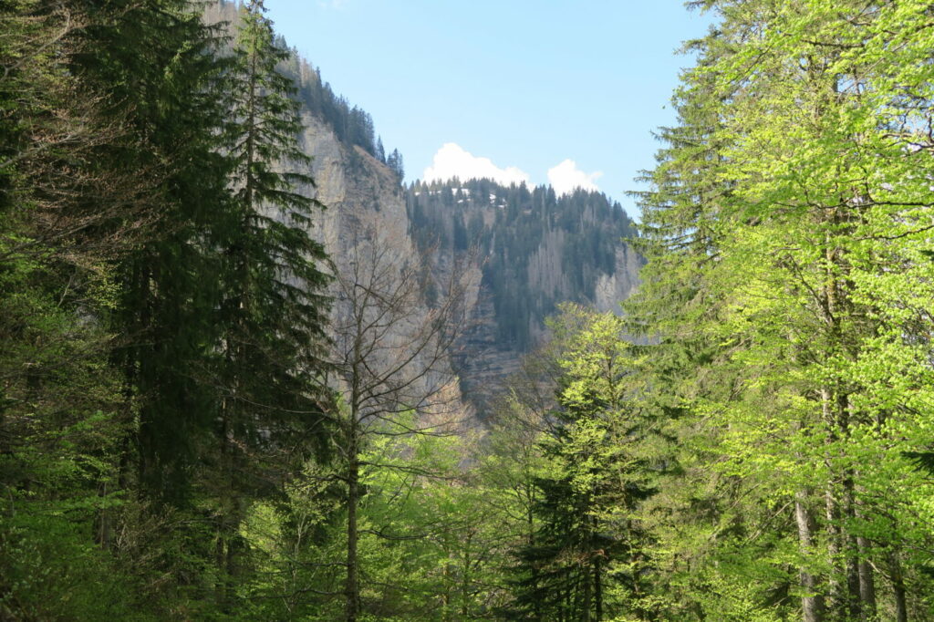 Vue randonnée facile Haute-Savoie