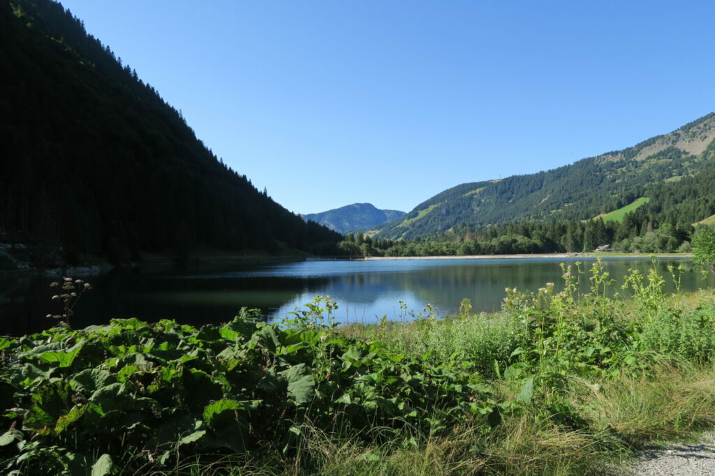 Randonnée facile en Haute-Savoie Lac des Plagnes vue du bout du lac